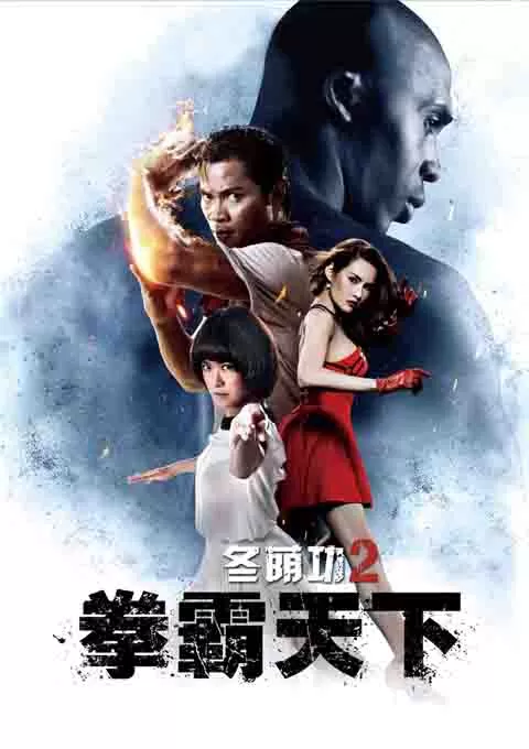 冬荫功2：拳霸天下